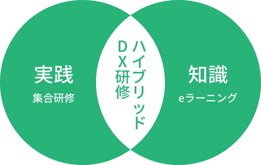 ハイブリッドDX研修 実践(集合研修)+知識(eラーニング)